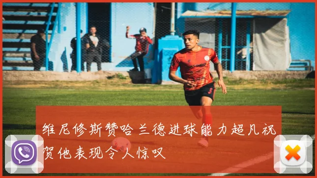 维尼修斯赞哈兰德进球能力超凡祝贺他表现令人惊叹