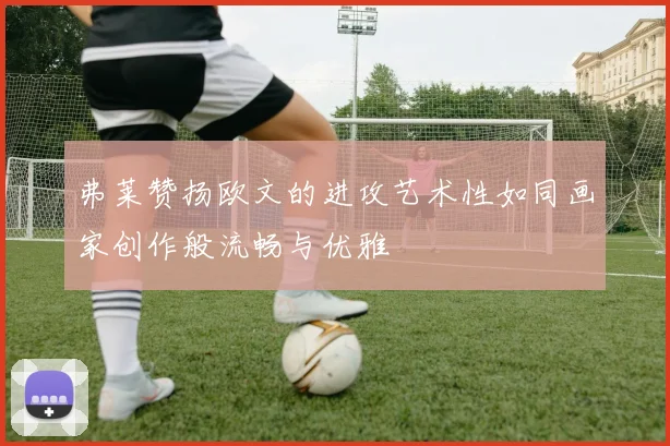 弗莱赞扬欧文的进攻艺术性如同画家创作般流畅与优雅